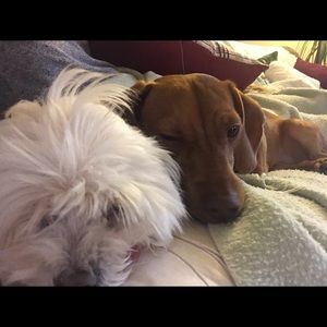 Meet your Posher, Alecia